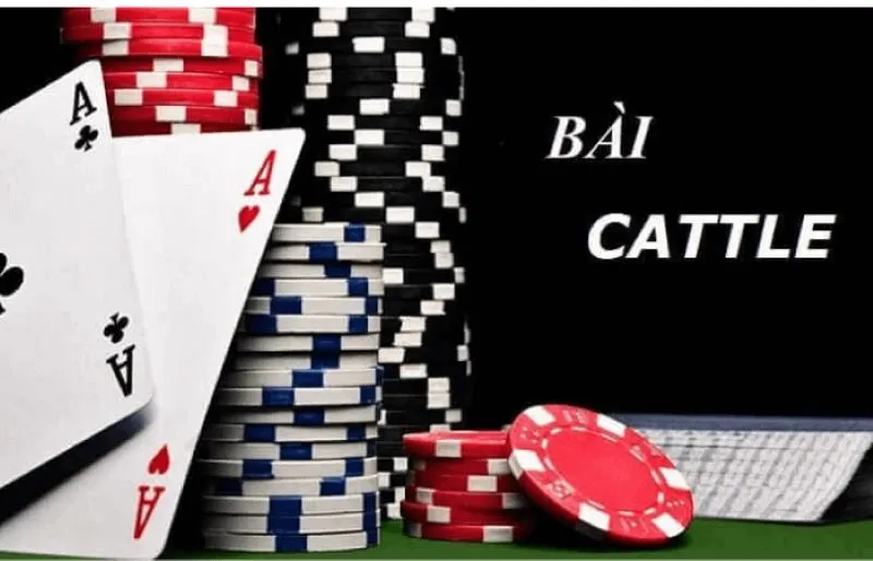 Học cách bỏ bài khi chơi catte 6 lá 